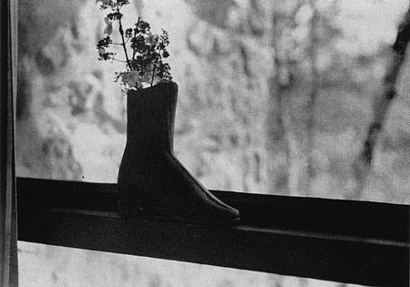 Portraits   |   Boot in the window                                        