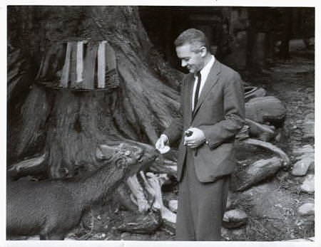 Portraits   |   Visiting Japan                                            