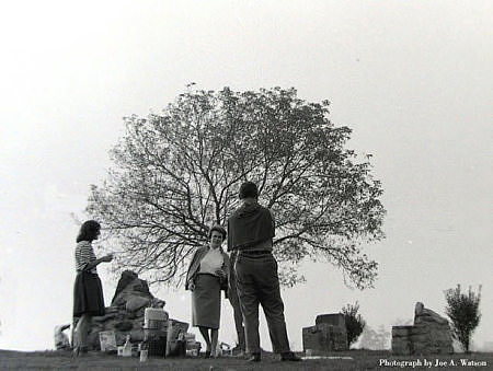 Portraits   |   Picnic with Joe Watson                                    
