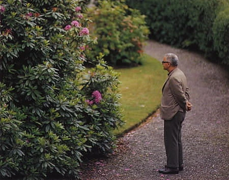 Portraits   |   Posing in the garden