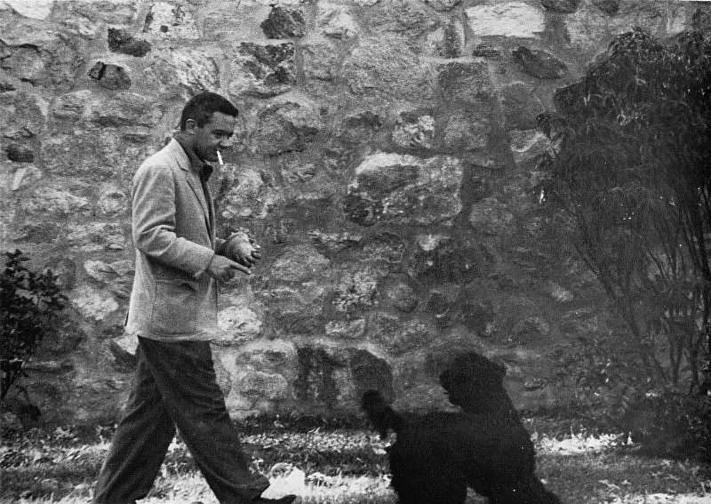 Portraits   |   Walking with Dog                                          