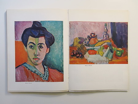 The Fauvist Painters